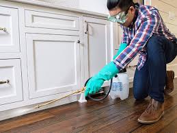 Real Estate Pest Inspections in Lakeview, NY