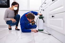 Best Pest Control for Hotels  in Lakeview, NY